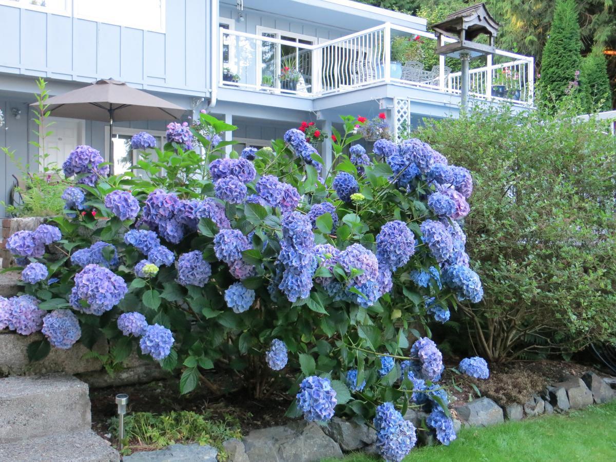 Caprice Bed & Breakfast Roberts Creek Dış mekan fotoğraf